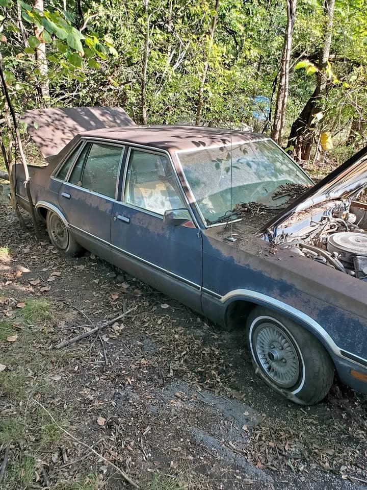 1980 Ford Fairmont